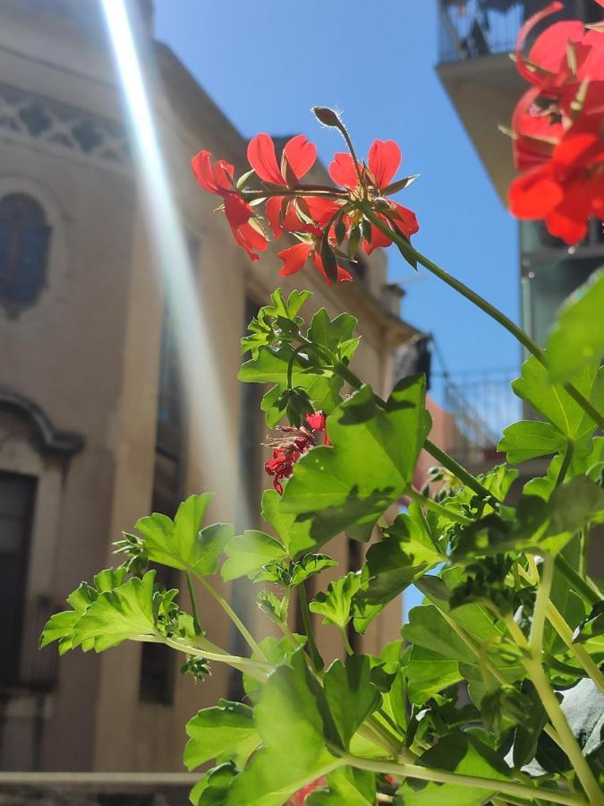 Casta Diva Holiday Rooms Catania Exterior photo